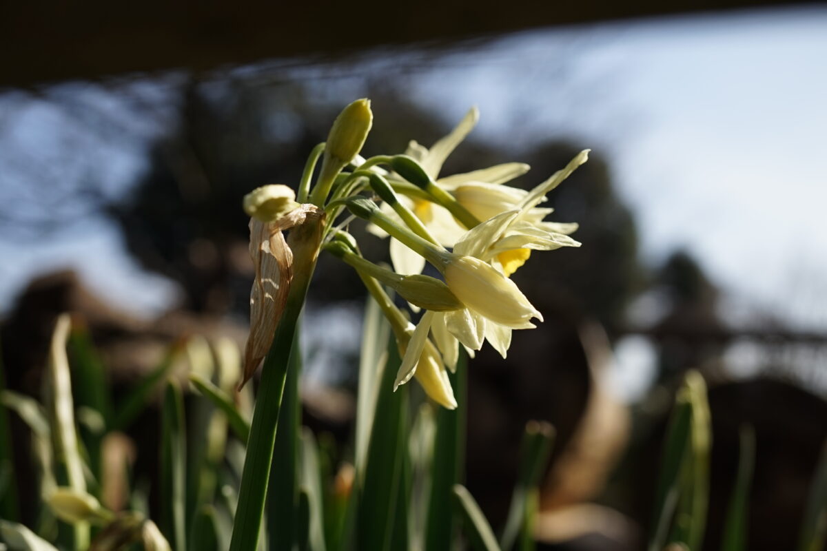 画像に alt 属性が指定されていません。ファイル名: 2019-03-18-14.42.14-1200x800.jpg